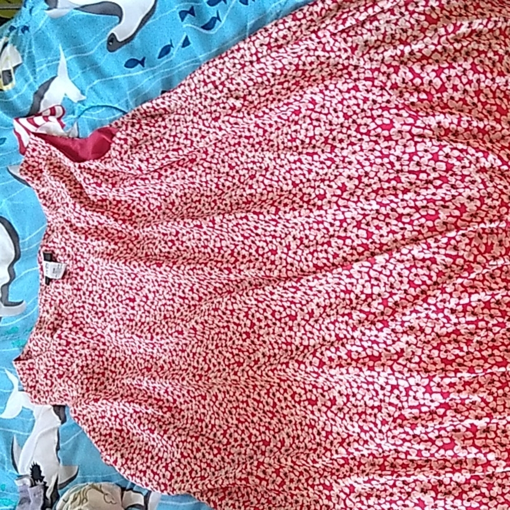 Red, Black, and Cream floral Dress from Studio1940. Size is 22W